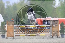 ref. photo 3567605