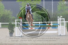 ref. photo 3567633