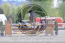 ref. photo 3567714