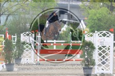 ref. photo 3567919