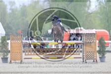 ref. photo 3568005
