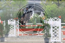 ref. photo 3568030