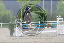 ref. photo 3568032