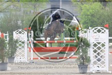 ref. photo 3568076