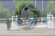 ref. photo 3568078