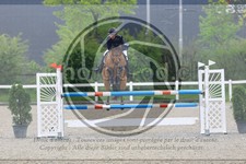 ref. photo 3568098