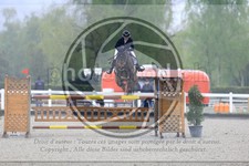 ref. photo 3568119