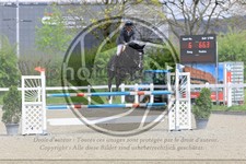 ref. photo 3568122