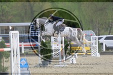 ref. photo 3568157
