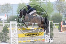 ref. photo 3568203
