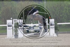 ref. photo 3568205