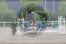 ref. photo 3568206