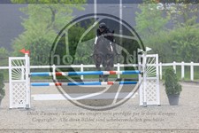 ref. photo 3568211