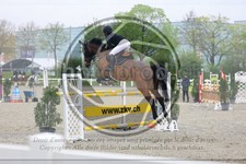 ref. photo 3568230