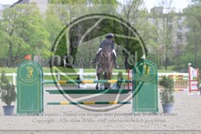 ref. photo 3568275
