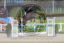 ref. photo 3568303