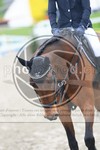 ref. photo 3568326