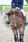 ref. photo 3568441
