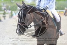 ref. photo 3568461