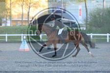 ref. photo 3568465