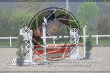 ref. photo 3568531