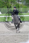 ref. photo 3568537
