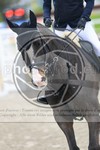 ref. photo 3568541