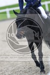 ref. photo 3568594
