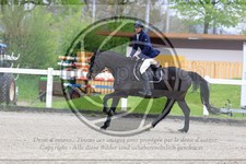 ref. photo 3568601