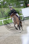 ref. photo 3568607
