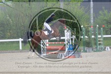 ref. photo 3568673