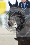 ref. photo 3568701