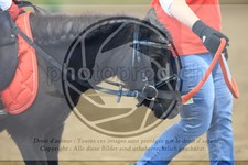 ref. photo 3568727