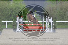ref. photo 3568804