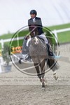 ref. photo 3568816