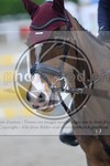 ref. photo 3568819