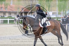 ref. photo 3568856