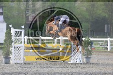 ref. photo 3568917