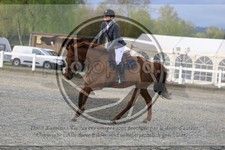 ref. photo 3568924