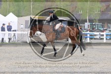 ref. photo 3568946