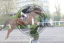 ref. photo 3568955