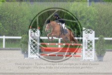 ref. photo 3568998