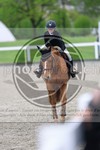 ref. photo 3569002