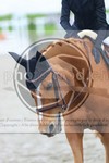 ref. photo 3569010