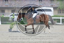 ref. photo 3569040