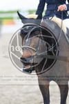 ref. photo 3569059