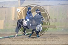 ref. photo 3569088