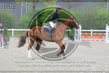 ref. photo 3569113