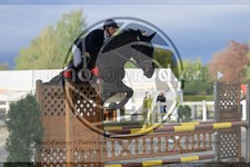 ref. photo 3569137