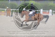 ref. photo 3569206